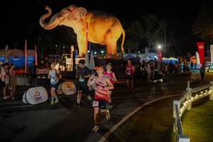 BIB: 
                            <button type="button" onclick="openModal(26552355)" class="btn btn-primary btn-sm float-right btn-popup" data-toggle="modal" data-target=".modal-high-quality">
                        <i class="fas fa-shopping-cart"></i> Add to Cart
                    </button>
                                            <button type="button" onclick="isThisMe(26552355, true)" class="btn btn-success btn-sm float-right btn-popup btn-isme hidden" data-toggle="tooltip" data-placement="bottom" title="นี่คือรูปของคุณใช่ไหม คลิกที่นี่เพื่อเอาเข้าอัลบั้ม">
                        <i class="fas fa-plus"></i> Add to album
                    </button>
                    <button type="button" onclick="isThisMe(26552355, false)" class="btn btn-warning btn-sm float-right btn-popup btn-isnotme hidden">
                        <i class="fas fa-ban"></i> Remove from album
                    </button>